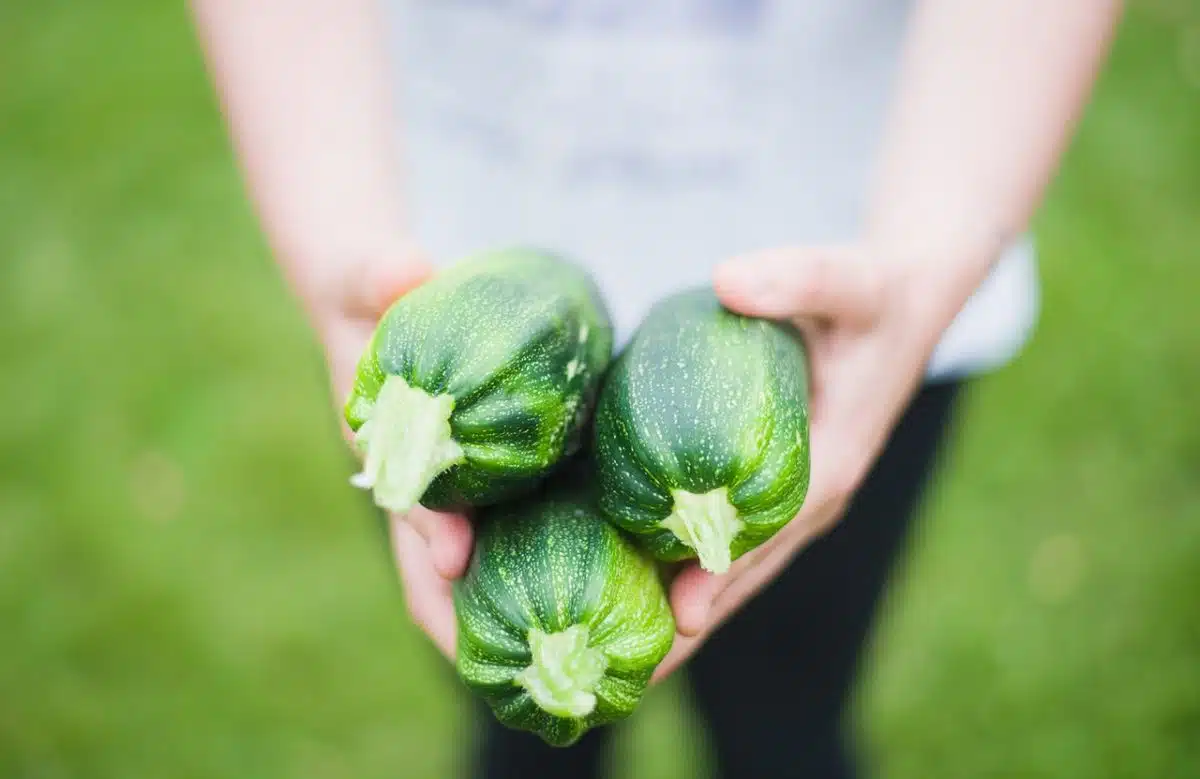 7 erreurs à ne pas commettre pour une plantation réussie de vos fleurs de jardin